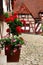 Courtyard decoration with flowers. Kaiserburg,