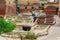 Courtyard with different stone vats with dye for leather in Tannery of Tetouan Medina