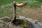 Courtyard fountain in a decorative casing made of wood