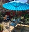 Courtyard garden with blue parasol