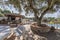 Courtyard on the grounds of a single-family home with a swimming pool, large olive trees and a woodshed for the winter