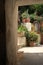 Courtyard of a Mediterranean garden on Procida Island. Red flowers of bignonia.