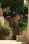 Courtyard of a Mediterranean garden on Procida Island. Red flowers of bignonia. and marble bathtub