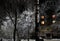 The courtyard of a multistory apartment building at night. Several windows glow in the dark. Birch covered with snow. Russia.