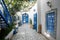 Courtyard in Sidi Bou Said