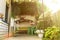 The courtyard of the small house with the resting place under a natural shadow canopy of vine plants and garden swing sofa in the