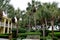 Courtyard surrounded by tropical trees,Beachview Club Hotel,Jekyll Island,2015