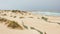 Cova da Alfarroba Beach, old and protected dunes and Peniche in the horizon, Portugal
