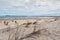 Cova da Alfarroba beach in Peniche, Portugal.