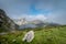 Covadonga lakes landscape. Picos de Europa national park. Asturias . Spain