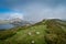 Covadonga lakes landscape. Picos de Europa national park. Asturias . Spain