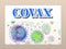 covax vaccine text 3d illustration