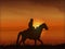 Covboj on horseback at sunset - vector