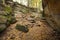 Cove rocks of Ritchie Ledges in Cuyahoga Valley National Park