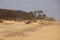 Covehithe\\\'s beach, Suffolk