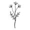 Cover Highlight Icon. Floral sketch. Social media story floral element