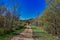 Covered bridge during Fall colors over the Kickapoo River near Lafarge at the Kickapoo Valley reserve