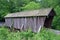 Covered bridge in Pisgah Co. North Carolina