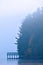 Covered dock on misty adirondack lake