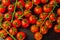 Covered with drops of water, fresh tomatoes with sprigs on wood