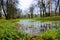 Covered with a duckweed pond in the park in the estate of Count Leo Tolstoy in Yasnaya Polyana