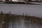 Covered in frost lake and snow - Pond of the Mute in the city of Elancourt in France