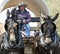 A Covered Wagon, Mule Team and Driver