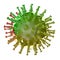 COVID-19 Coronavirus microscopic, green and red virus with white background