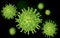 COVID-19 Coronavirus microscopic, green virus with black background