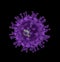 COVID-19 Coronavirus microscopic, purple virus with black background