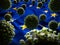 COVID-19 Coronavirus Molecules on European Union Flag - Health Crisis Rising COVID Cases - Europe Virus Pandemic Casualties