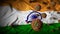 COVID-19 Coronavirus Molecules on Indian Flag - Health Crisis with Rise in COVID Cases - India Virus Pandemic Abstract