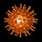 COVID-19 Coronavirus orange virus microscopic black background