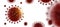 Covid-19 Coronavirus White Background Isolate