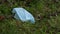 COVID-19 Disposed Surgical Mask Caught in Wild Grass