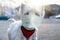 COVID-19 pandemic coronavirus. Medical mask, protection against coronavirus and other viruses on dog. Portrait of white dog