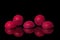 COVID-19. Picture of viruses as spiny red rubber massage balls with copy space isolated on black background with reflections