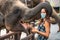 Covid-19. Portrait of a young woman in a medical mask feeding an elephant at the zoo. The concept of travel during a pandemic,