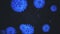 COVID19 coronavirus infection visualization. Patoghen cells are inside infected human shown as neon blue spherical