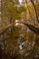 CovÃ£o d`Ametade Reflections in the ZÃªzere River. water mirror in Serra da Estrela