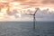Cow in alpine landscapeSunset over offshore wind farm - green power generation