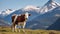 A Cow Amidst the High Alpine Meadow, Framed by Snowy Peaks. Generative AI