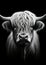 Cow animal bull highland agriculture mammal cattle farming head horn portrait nature