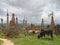 Cow around the stupas of the Paya Kyaukhpyugyi, Inle lake, Myanmar