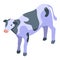 Cow barter icon isometric vector. Money exchange