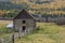 Cow behind barn in north Idaho.