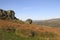 Cow and Calf Rocks, Ilkley Moor, West Yorkshire