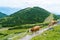 Cow and calf spends the summer months on an alpine meadow in Alps. Austrian cows on green hills in Alps. Alpine