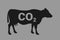 Cow, cattle livestock and beef as producer of carbone dioxide, greenhouse gas pollution