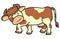 Cow, colored picture, single object